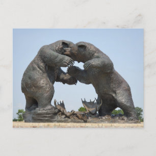 Bears - Dundee, Michigan Postcard