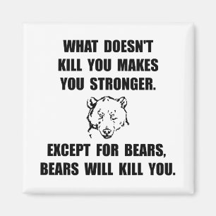 Bears Kill Magnet