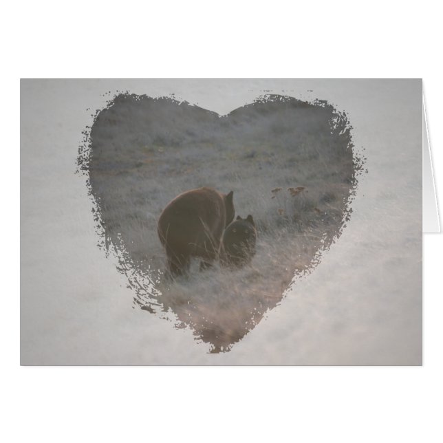 Bears Walking at Sunset (Front Horizontal)