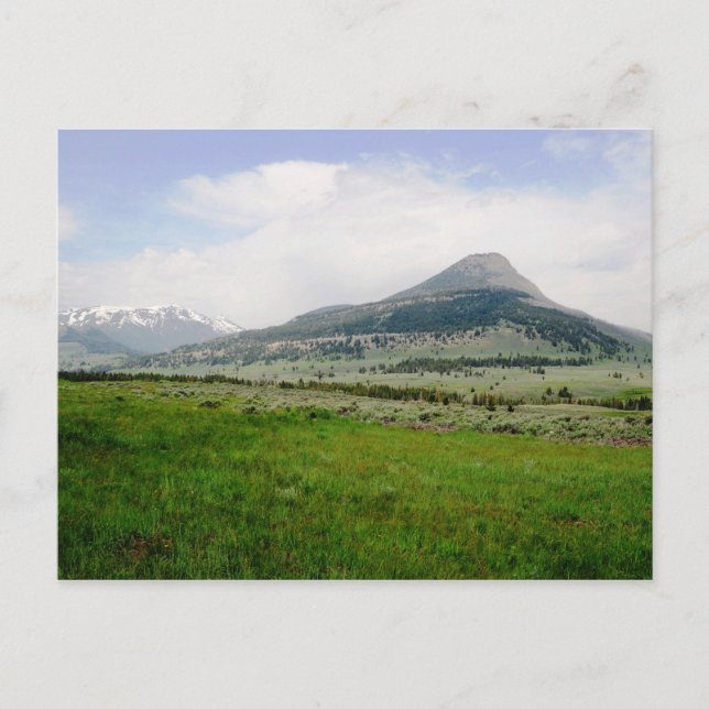 Beartooth Butte Postcard (Front)