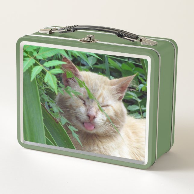 Beast the Silly Stray Cat Metal Lunch Box (Front)
