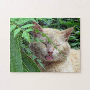 Beast, The Sweetest Stray Cat -  Puzzle