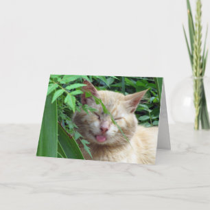 Beast's Greeting Card