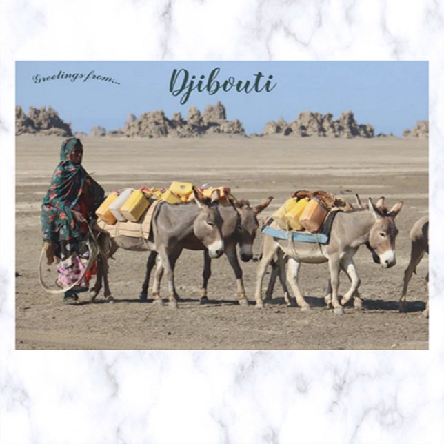 Beasts of Burden in Djibouti Postcard (Creator Uploaded)