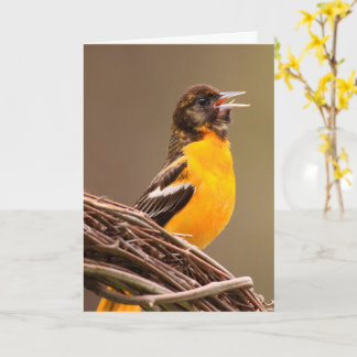 Beat Cancer Oriole Card