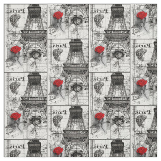 beatiful Paris Fabric