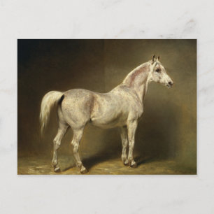 Beatrice' Postcard