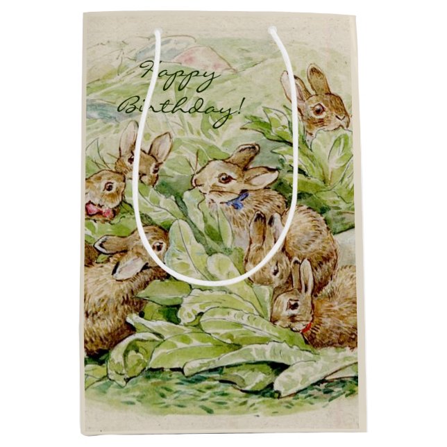 Beatrix Potter Tale of the Flopsy Bunnies Medium Gift Bag (Front)