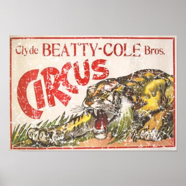 Beatty Cole Circus - 1903 - distressed Poster (Front)