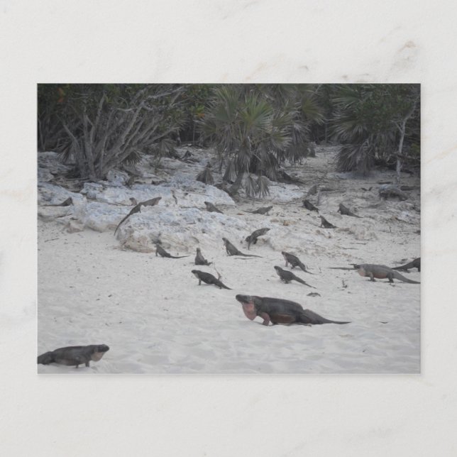 Beau Bahamas Postcard (Front)