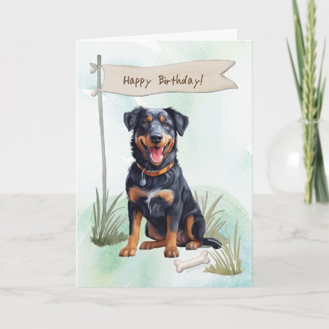 Beauceron Breed Dog Outside Under Birthday Sign Card (Front)