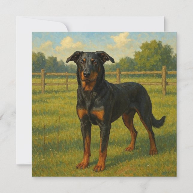 Beauceron Card (Front)