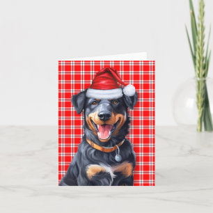 Beauceron Christmas Dog Red Plaid Christmas Holiday Card