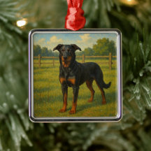 Beauceron