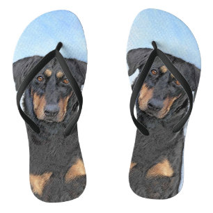 Beauceron Painting - Cute Original Dog Art Jandals