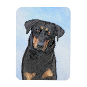 Beauceron Painting - Cute Original Dog Art Magnet
