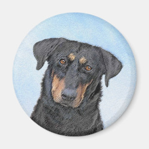 Beauceron Painting - Cute Original Dog Art Magnet
