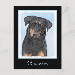 Beauceron Painting - Cute Original Dog Art Postcard