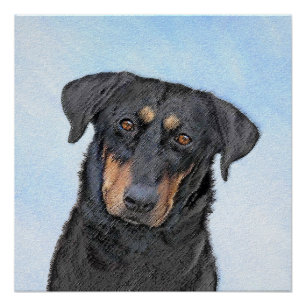 Beauceron Painting - Cute Original Dog Art Poster