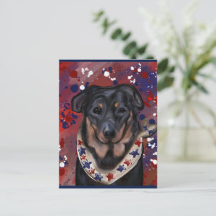 Beauceron postcard