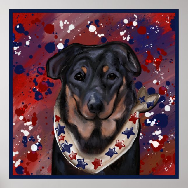 Beauceron           poster (Front)