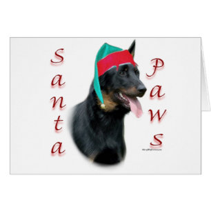 Beauceron Santa Paws