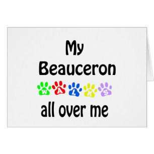 Beauceron Walks Design