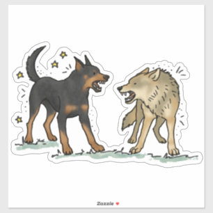 Beauceron - Working