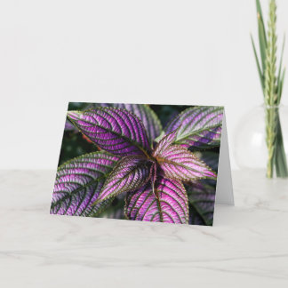 Beaugreeting card