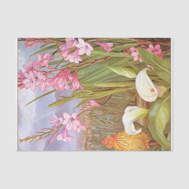 Beauties of the Swamps, South Africa by North Tissue Paper (Front)