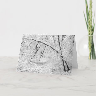 Beautiful 1950's Snow White Covered Wooded Creek Holiday Card