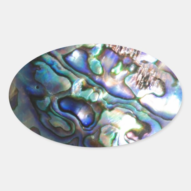 Beautiful abalone shell oval sticker (Front)