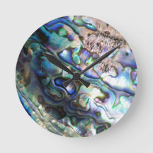 Beautiful abalone shell