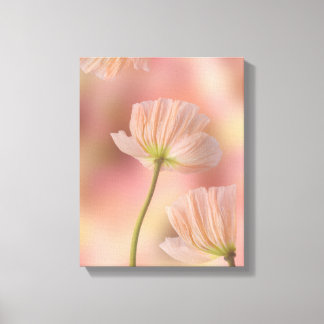 Beautiful Abstract Flower Canvas Print