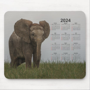 Beautiful African Bush Elephant 2024 Calendar Mouse Pad