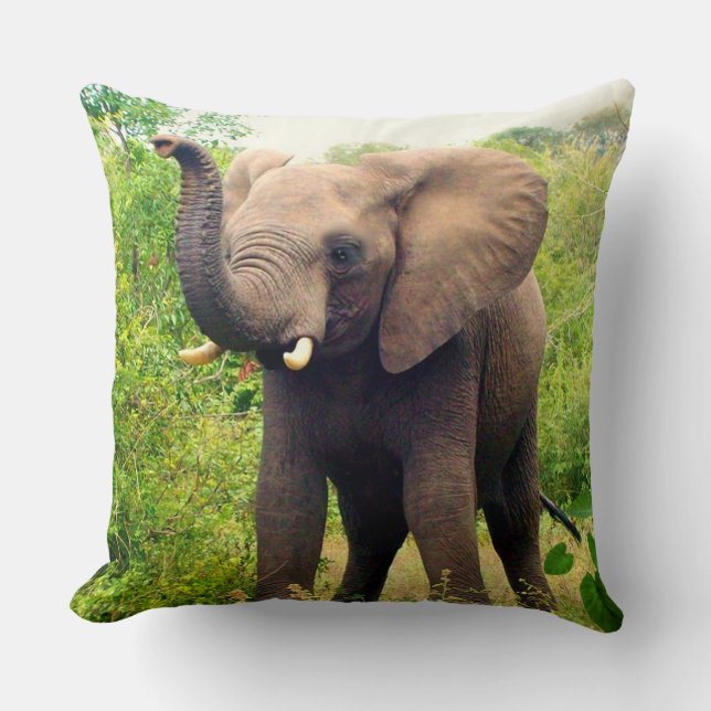 Beautiful African Elephant & Tropical Plants Cushion (Front)