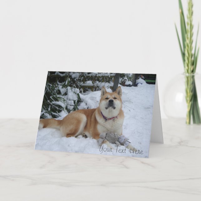 beautiful  akita dog resting in the snow christmas holiday card (Front)
