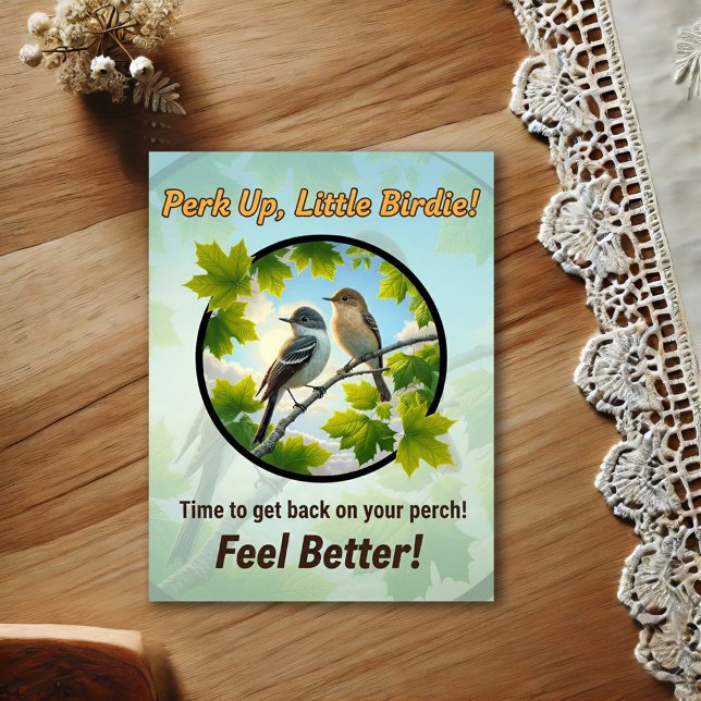 Beautiful Alder Flycatchers Get Well Postcard (Creator Uploaded)