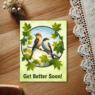 Beautiful Alder Flycatchers Get Well Postcard
