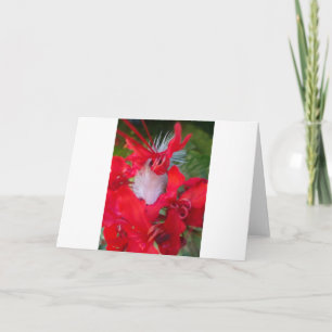 Beautiful Alien Crimson.jpg Card