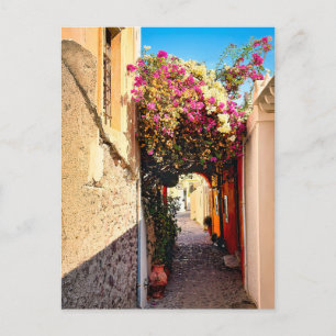 Beautiful Alleyway in Santorini, Greece Holiday Postcard