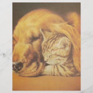 Beautiful Amazing Cat and Dog Cuddling Art Print