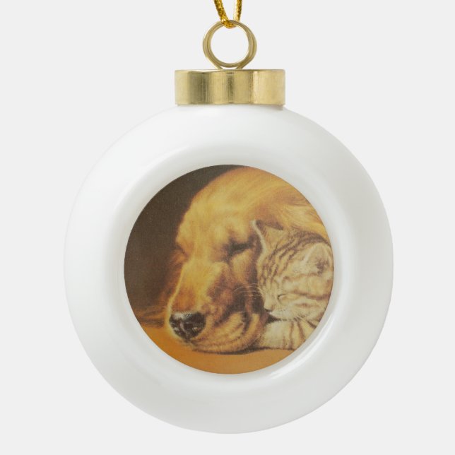 Beautiful Amazing Cat and Dog Cuddling Art Print Ceramic Ball Christmas Ornament (Front)
