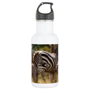 Beautiful amazing customisable Trendy Art Design  532 Ml Water Bottle