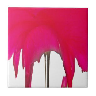 Beautiful amazing Red rose under the white sky Tile