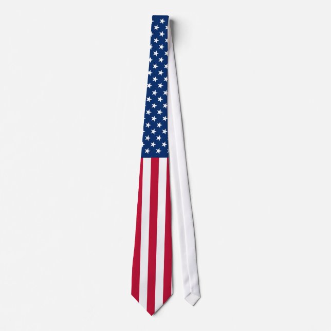 Beautiful American Flag - Pride USA Tie (Front)