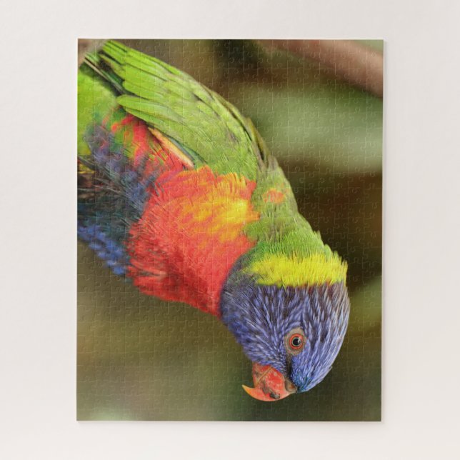 Beautiful and Colourful Parrot Jigsaw Puzzle (Vertical)