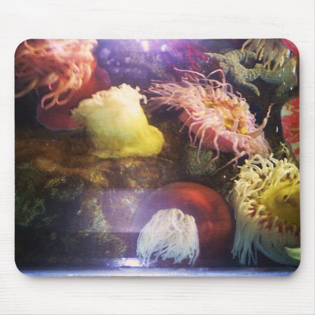 Beautiful and colourful soft coral mousepad (Front)