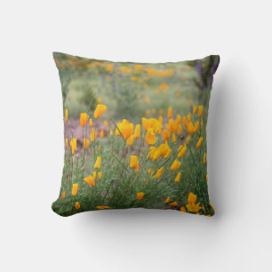 beautiful and fragrant wildflowers growing in tucs cushion