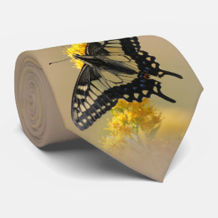 Beautiful Anise Swallowtail Butterfly in the Sun Tie